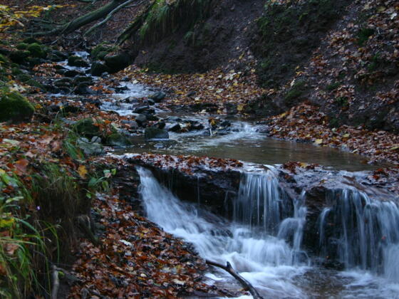 Herbst in der Kaskadenschlucht