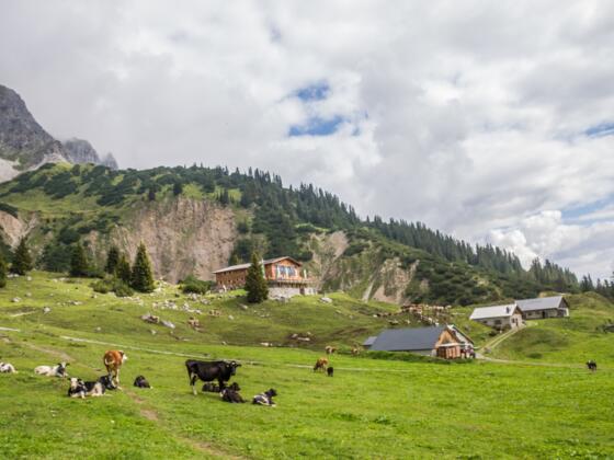 Blick auf Heinrich Hueter Hütte und der Alpe Vilifau