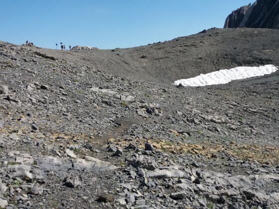 Schweizersteig: auf dem Weg zum Schesaplanasattel.