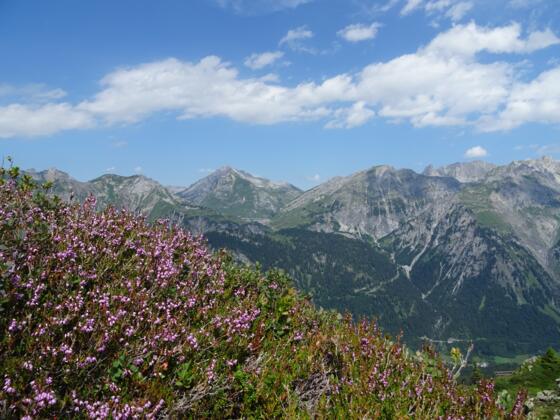 Blick Richtung Lechquellengebirge beim Aufstieg