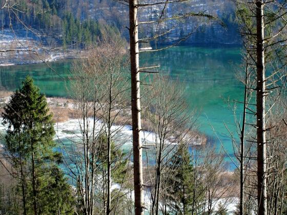 Immer wieder lohnende Ausblicke - egal ob in die Berge oder ins Tal zum smaragdgrünen Almsee