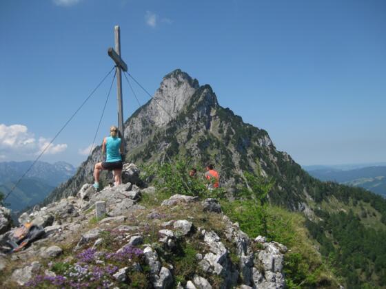 Traunstein-Ostgrat, vom Katzenstein gesehen