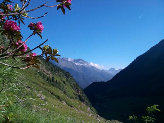 oberhalb der B'suchalm