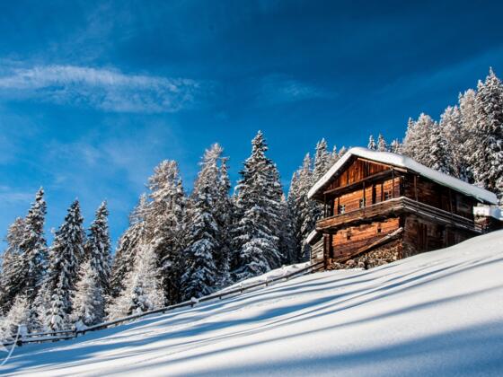 Mitterwurzenalm (1888 m)