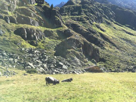 Sulztal