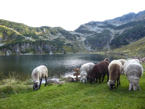 Empfang beim Wildseeloderhaus.