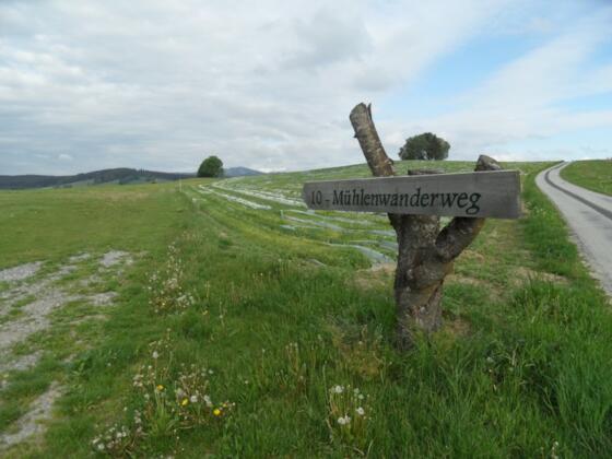 Wegweiser aus Holz