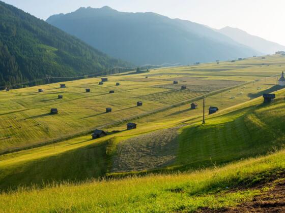 Dorfer Felder, Obertilliach