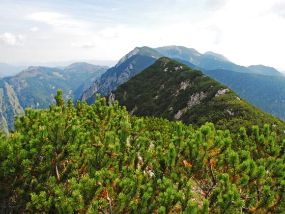 Blick vom Gamskogel nach Osten in Richtung Rohrauer Größtenberg und Hoher Nock