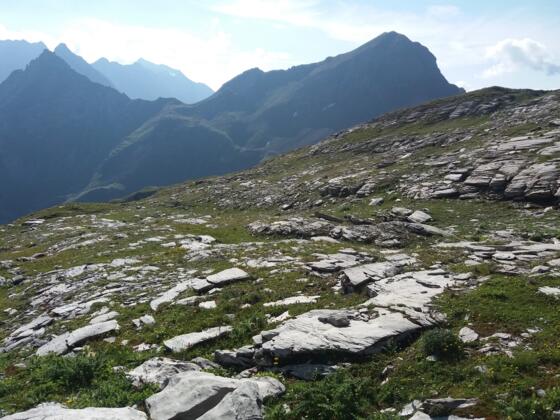 Hochjoch links vom Tschingel vom Plateau aus Richtung Pfälzerhütte.