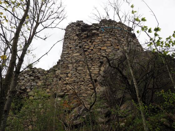 Ruine Lichtenhag ~490m
