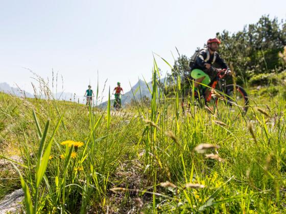 Mit dem Mountainbike unterwegs am Sonnenkopf