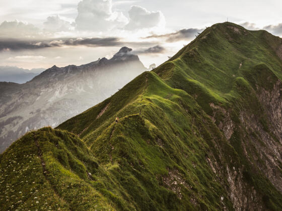 Höferspitze