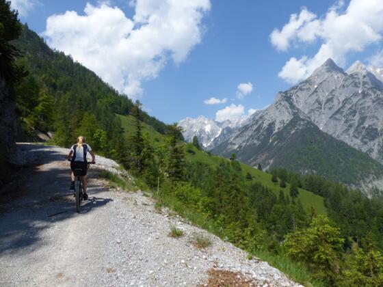 Hoch über dem Vomper Loch führt die Forststraße mit Blick auf die Karwendelberge zur Ganalm.