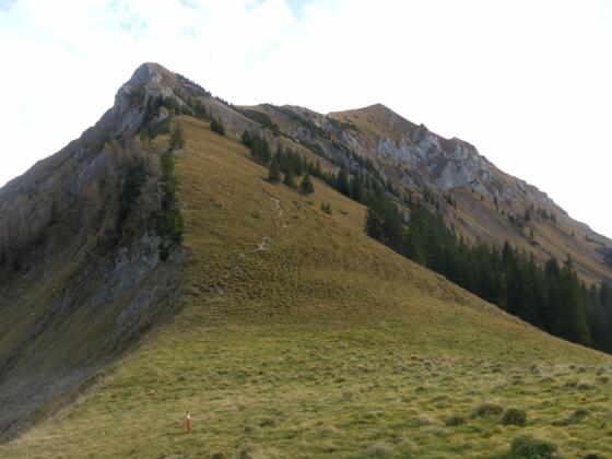 Sonntagsspitze und Moosenspitze
