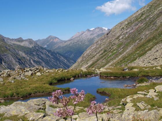 Blick ins Hundskehltal