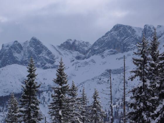 Blick vom Gipfel auf die Nordabstürze des Rofan