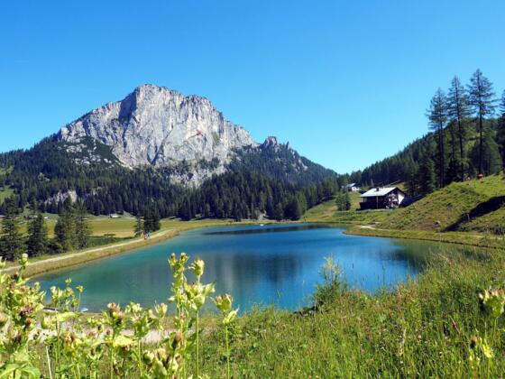 See (1365m) beim Linzerhaus