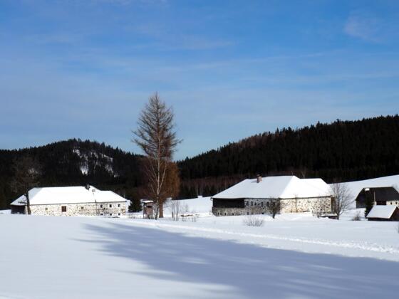 Dürnau ~800m