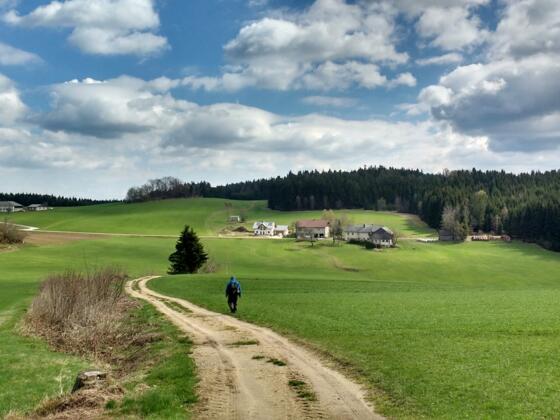 Herrliche Landschaften säumen den NSWW