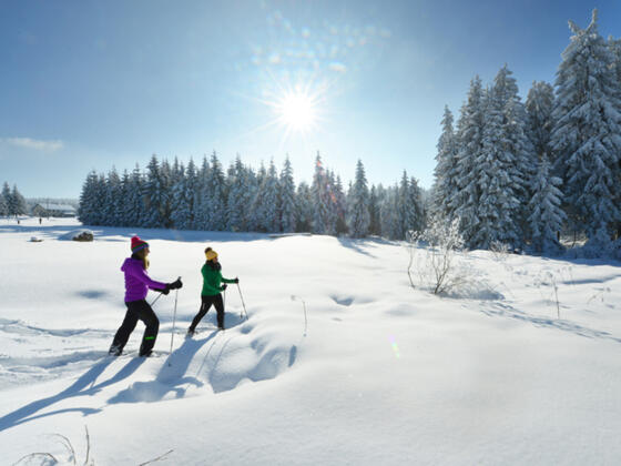 Winterwandern