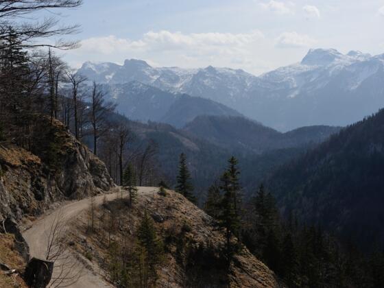 Von der Forststraße oberhalb der Lichteneckalm schauen wir weit in das Tote Gebirge