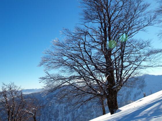 Abfahrt am Ödboden um 1250m