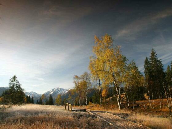 Moorerlebnis Wasenmoos am Pass Thurn