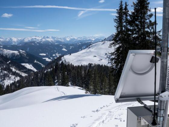 Der Gipfel des Jochriedel mit blick zurück zur Aufstiegsspur