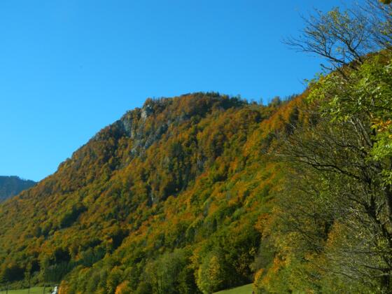 Gipfel Rotmäuer im Herbst