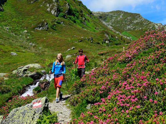 Abstieg vom mittleren Wildalmsee