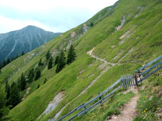 Trujensteig