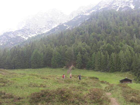 Almberg Alm