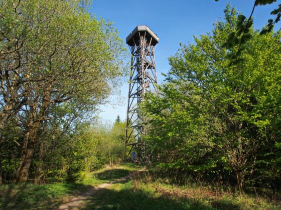 Dambergwarte, ein 1972 errichteter, hölzerner Aussichtsturm