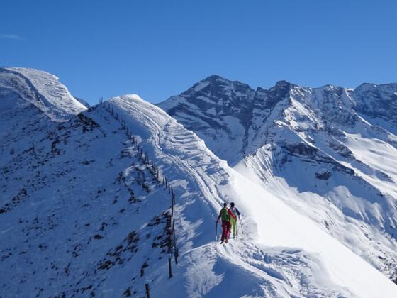 ... Blick auf Olperer, Fußstein und Schrammacher.