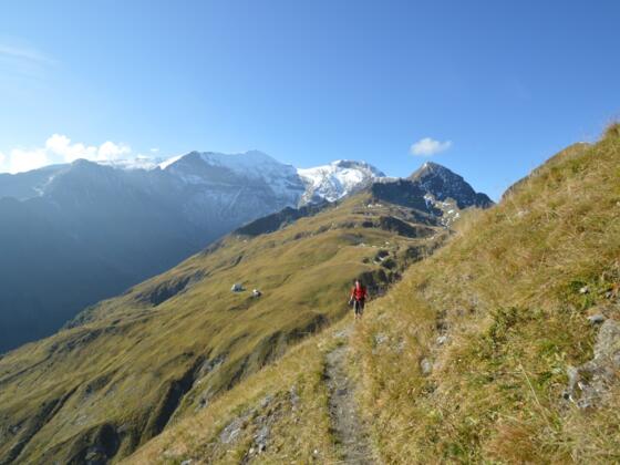 Abschied von der Gleiwitzer Hütte - Im Hintergrund die Ausläufer des Hohen Tenn