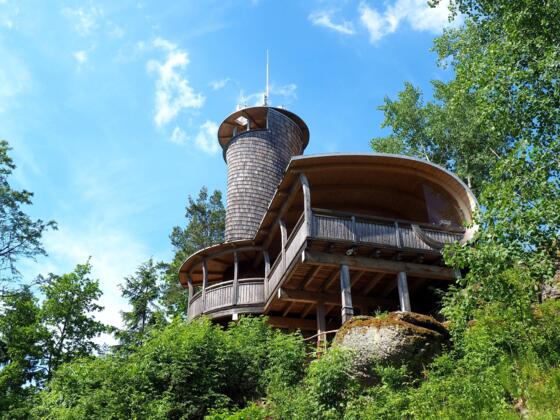 Aussichtsturm ~790m