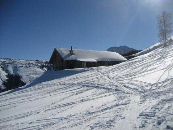 Hirzeggalm (1553m)