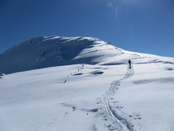 Ramkarkopf aus dem Sattel nach dem Wiesboden
