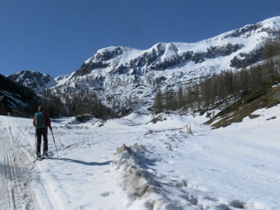 Oberzauchenseealm vor Bärenstaffl und Steinfeldspitze