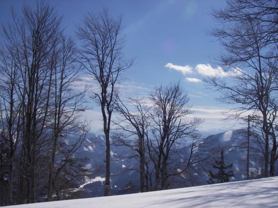 Ausblick vom Ennsboden