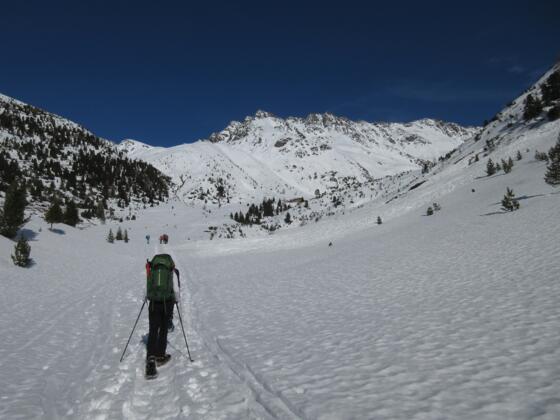 Langsam kommt die Hütte und der Zwieselbacher Roßkogel in den Blick.