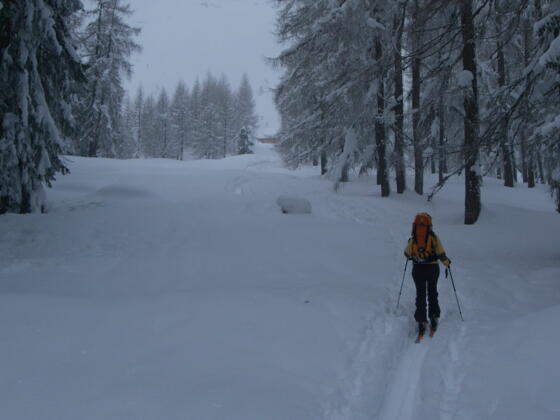 Baumfreie Schneise mit Dümlerhütte im Hintergrund
