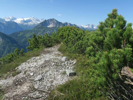 Am Löckerkogel
