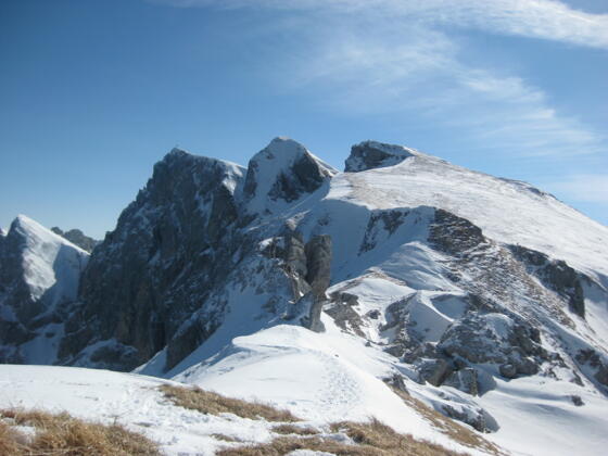 links: Hochiss, Rechts: Streichkopf