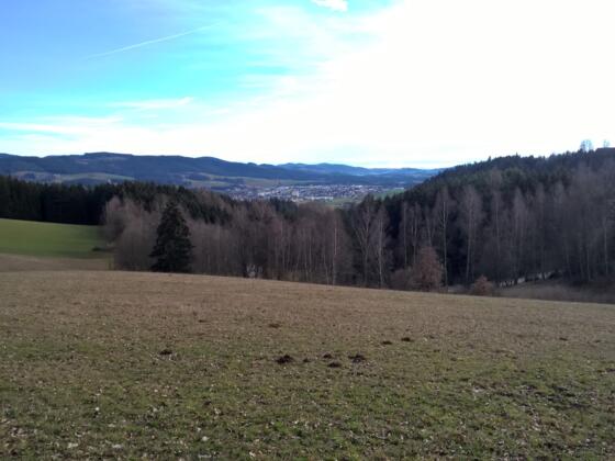 Blick nach Freistadt, mit St. Peter (rechts)
