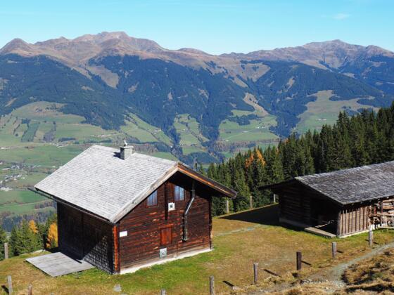Pölsneralm 1704m