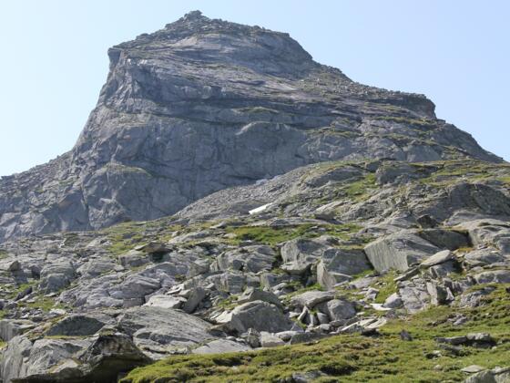 Blick zum Vorgipfel Am Horn