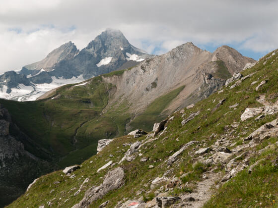 Von der Glorer Hütte zum Peischlachtörl: Blick zurück auf den Großglockner