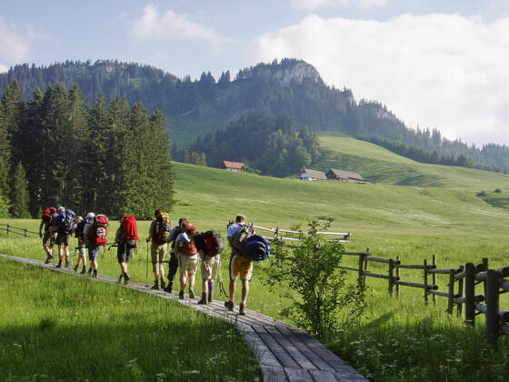 Auf Holzstegen durchwandert man das Ebenforster Moor
